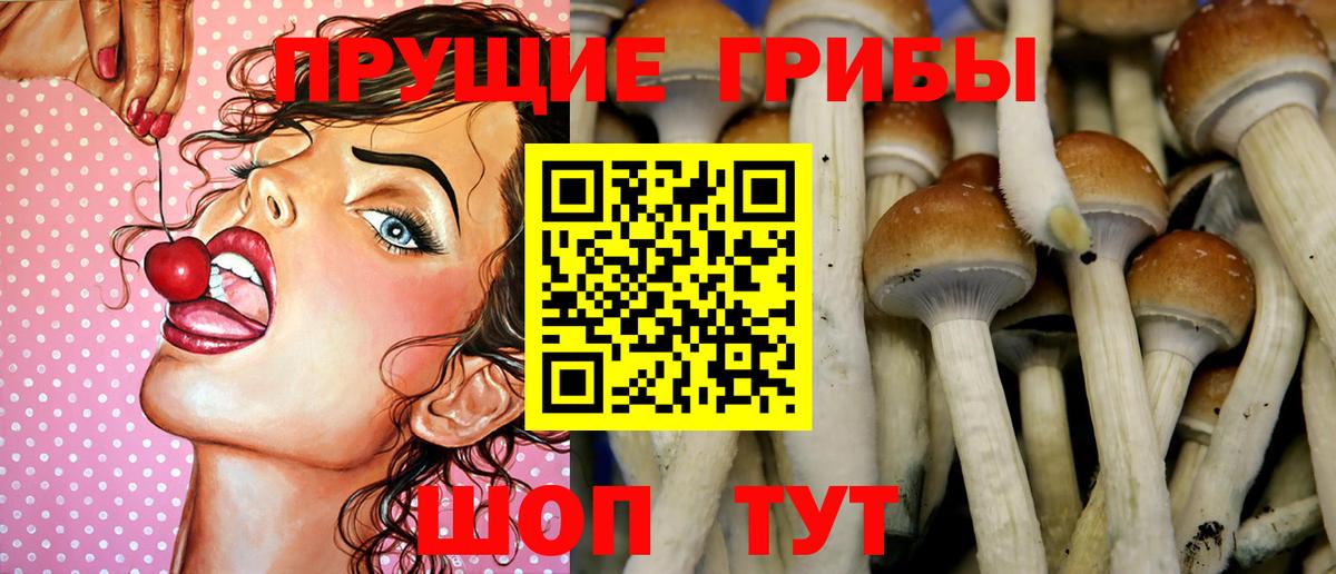Псилоцибиновые грибы Magic Shrooms Вышний Волочёк