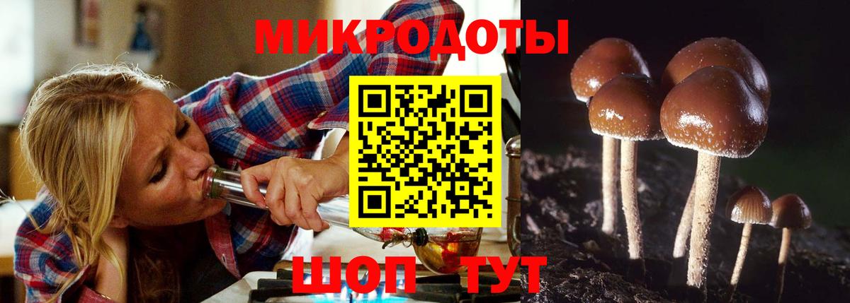 Галлюциногенные грибы MAGIC MUSHROOMS  Вход с VPN  Вышний Волочёк 